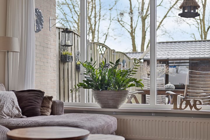 Foto 9 van De Boorne 36