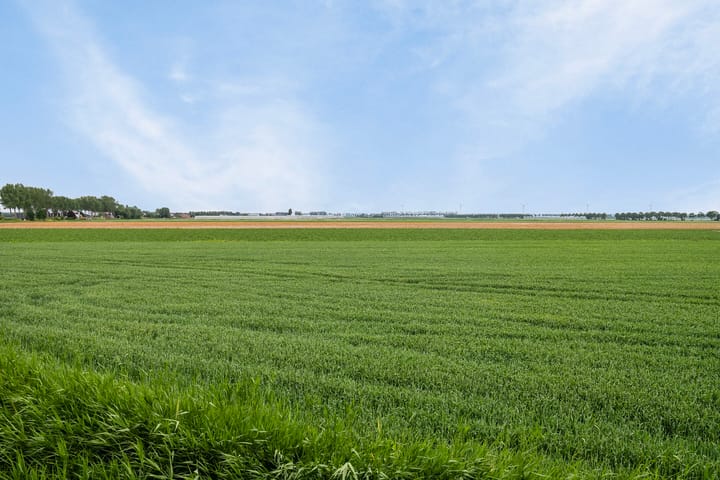 Foto 43 van Bommelsedijk 58-A