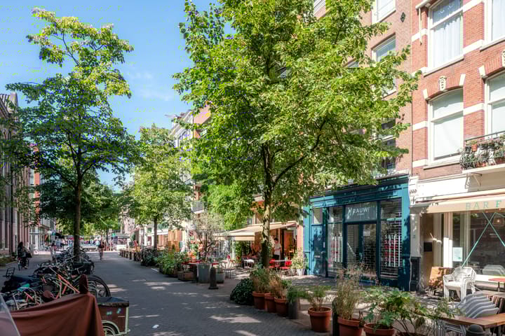 Foto 35 van Gerard Doustraat 168-3