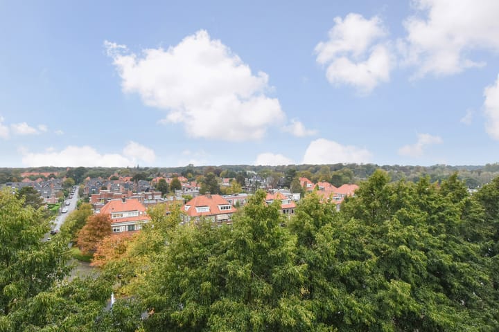 Foto 12 van Suzannaland 492