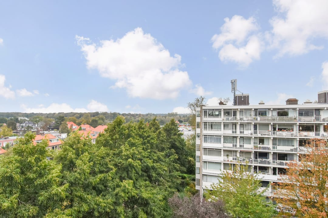 Foto 13 van Suzannaland 492