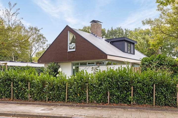 Foto 36 van Isaäc da Costastraat 12