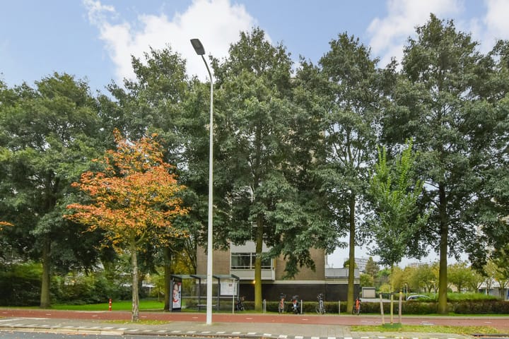 Foto 41 van Suzannaland 492