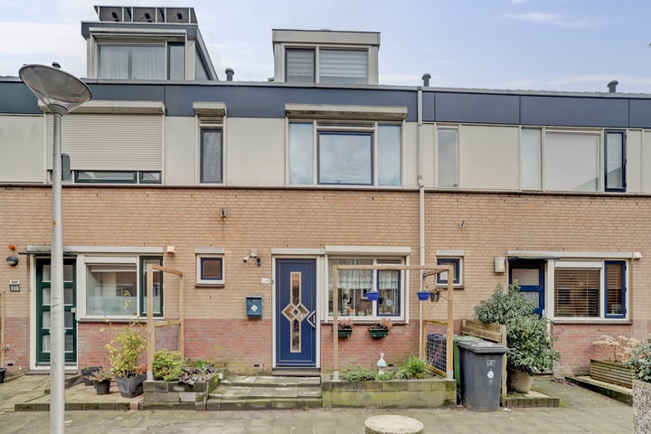 Zilvermeeuw 25
