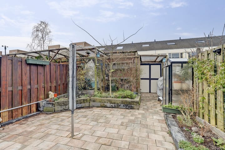 Foto 3 van Zilvermeeuw 25