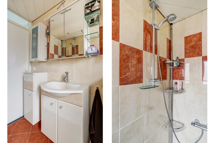 Foto 6 van Zilvermeeuw 25