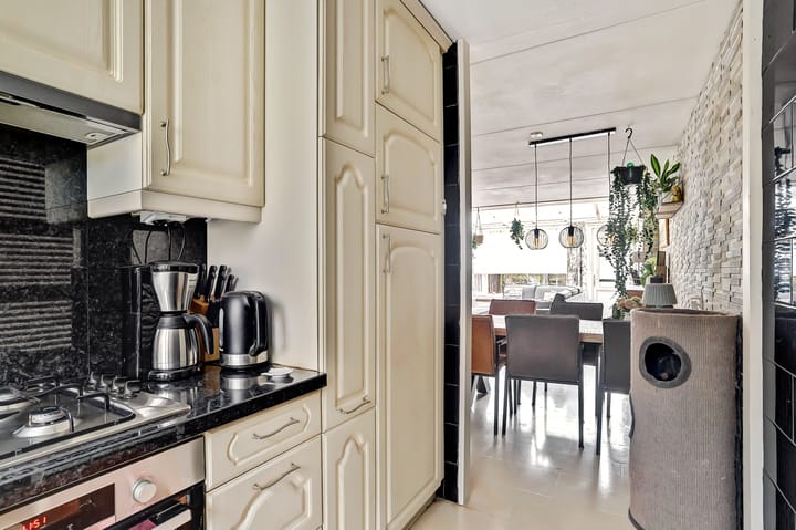 Foto 17 van Zilvermeeuw 25