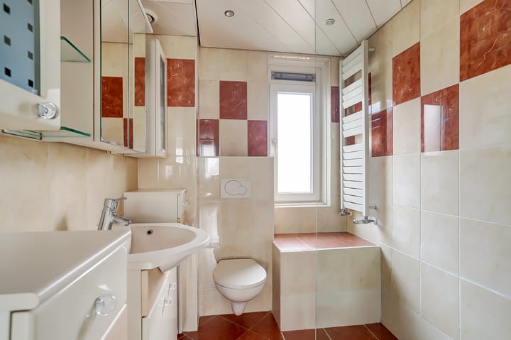 Foto 26 van Zilvermeeuw 25