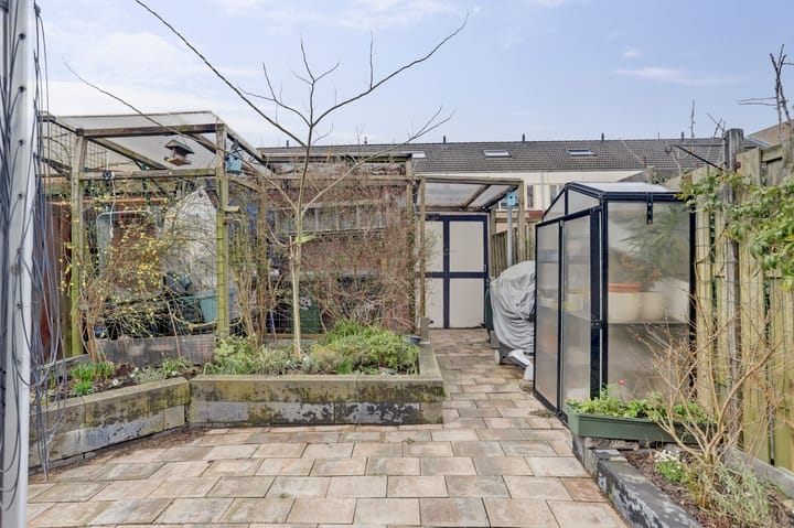 Foto 32 van Zilvermeeuw 25