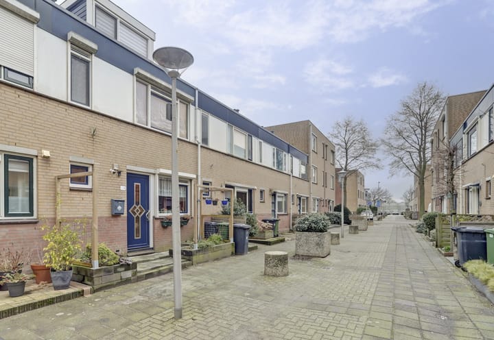 Foto 33 van Zilvermeeuw 25