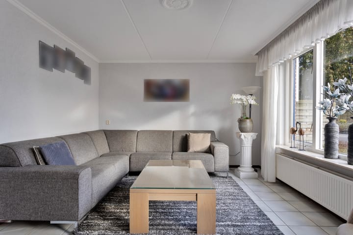 Foto 3 van de Wulp 2