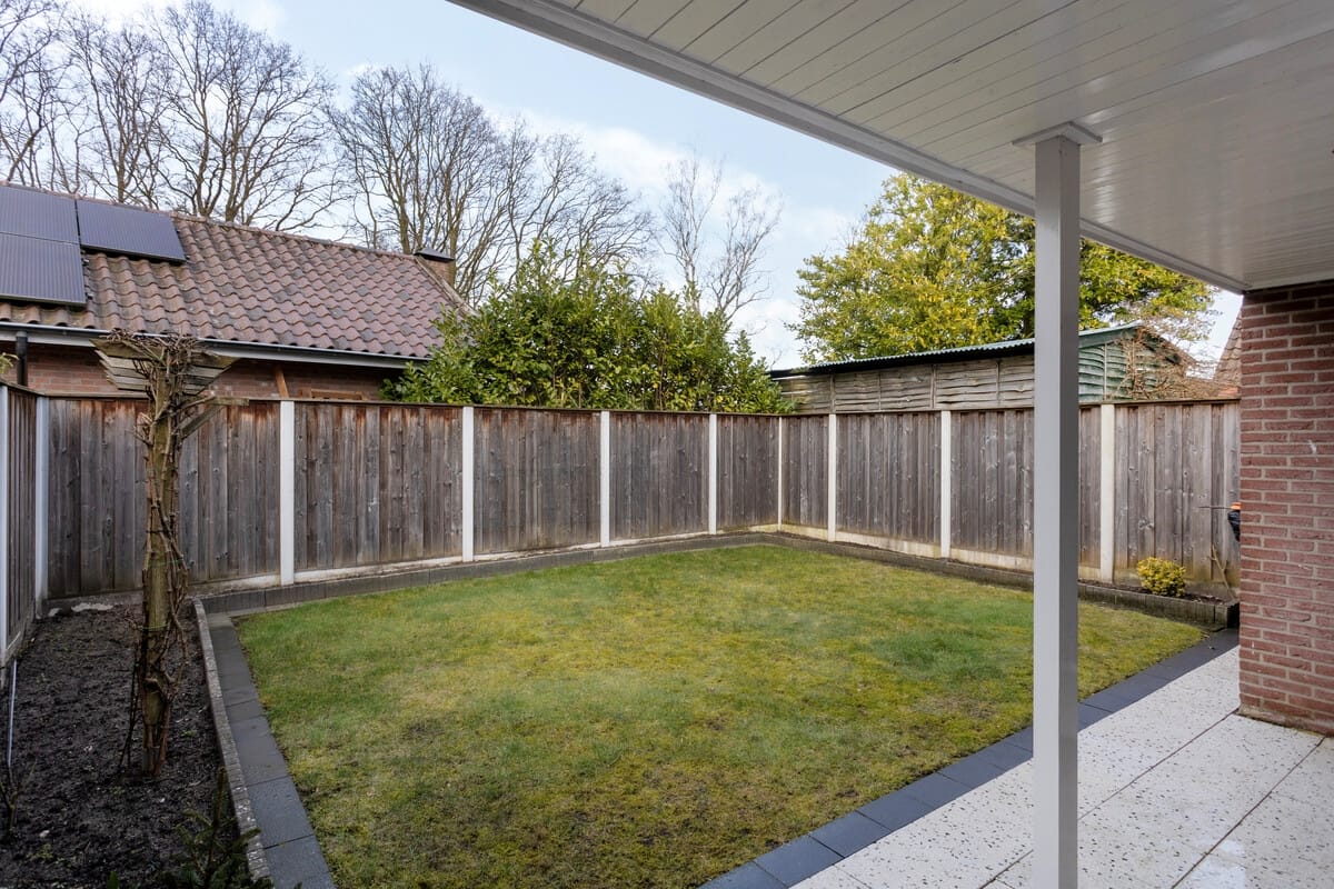 Foto 24 van de Wulp 2