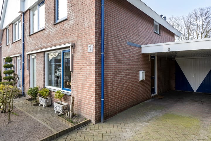 Foto 28 van de Wulp 2