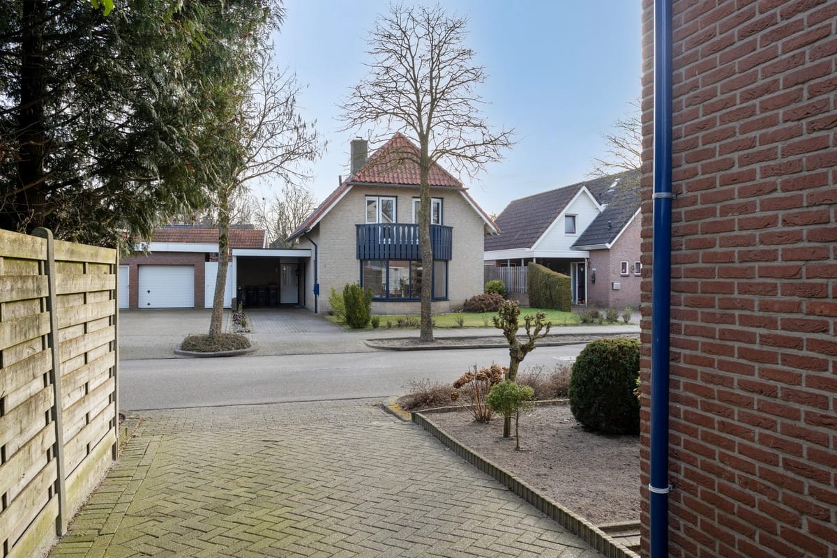 Foto 29 van de Wulp 2