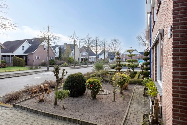 Foto 30 van de Wulp 2