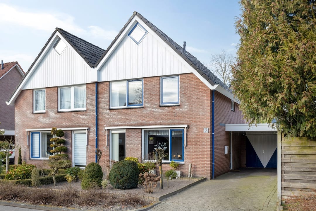 Foto 31 van de Wulp 2