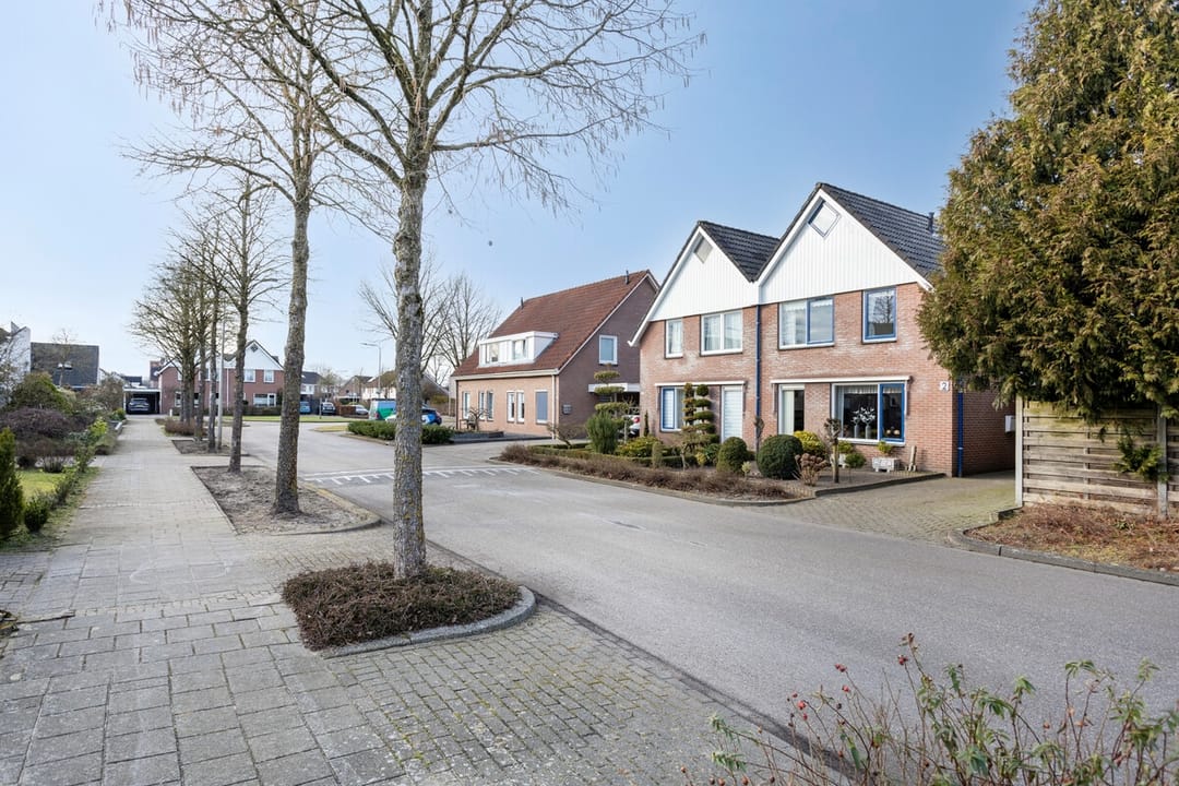 Foto 32 van de Wulp 2