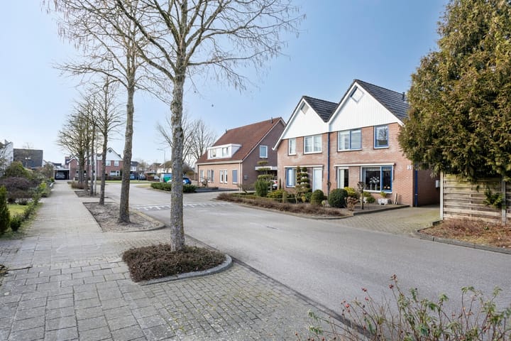 Foto 32 van de Wulp 2