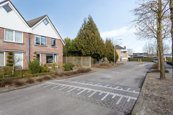 Foto 33 van de Wulp 2