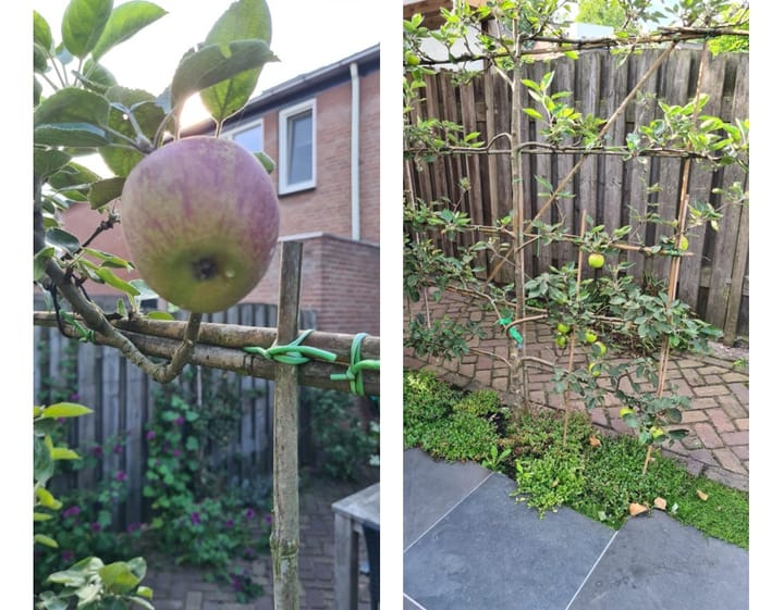 Foto 32 van Boskriek 39