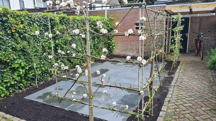 Foto 33 van Boskriek 39