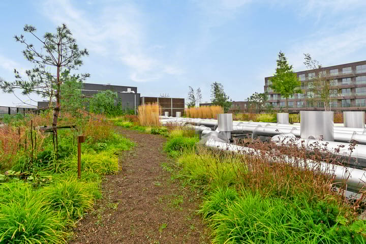 Foto 33 van Sint Maartenpad 37