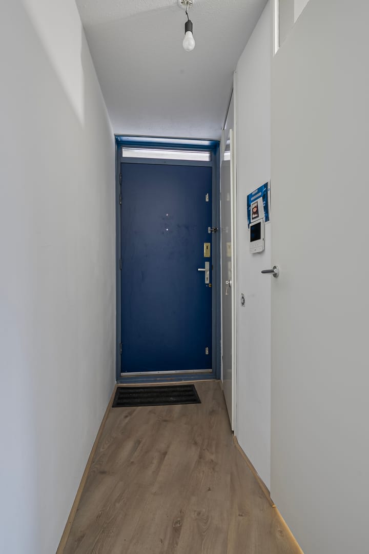 Foto 7 van Ir J.P. van Muijlwijkstraat 332