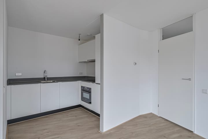 Foto 18 van Ir J.P. van Muijlwijkstraat 332