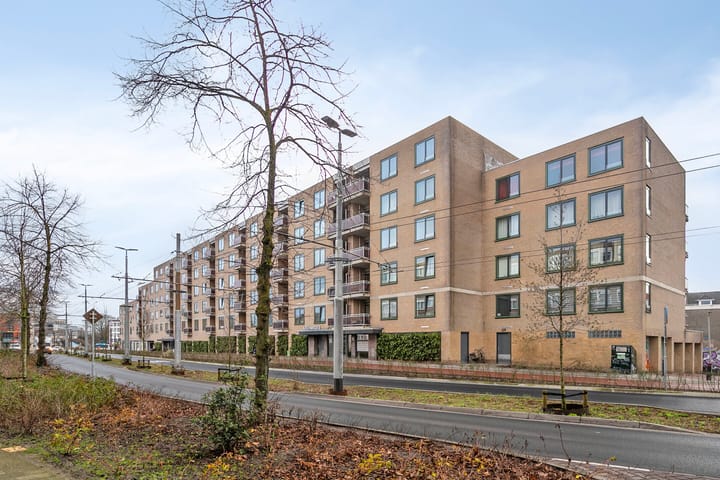 Foto 25 van Ir J.P. van Muijlwijkstraat 332