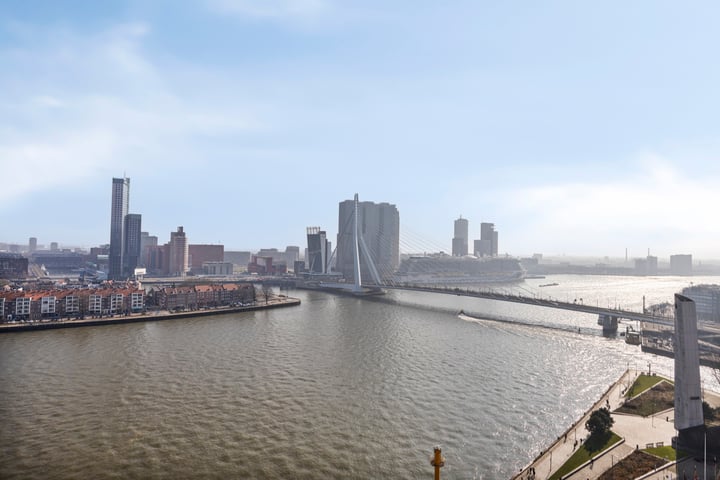Bekijk foto van Boompjes 513