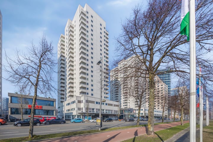 Foto 29 van Boompjes 513