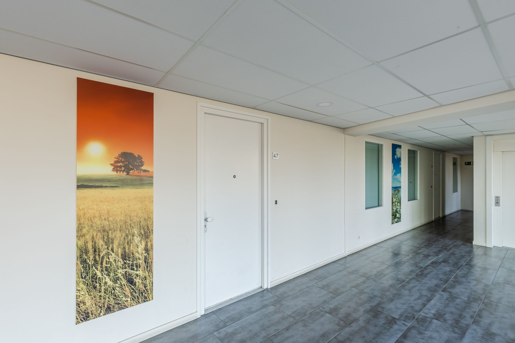 Photo 12 of Langstraat 47