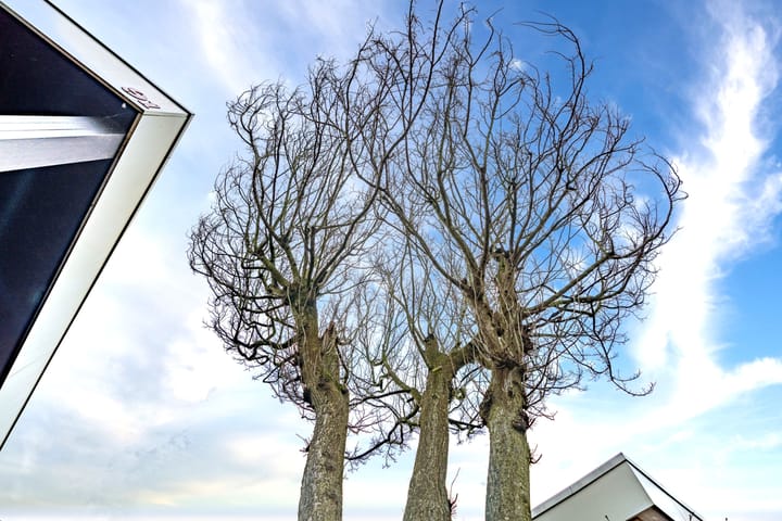 Foto 66 van Wingerdpark 91