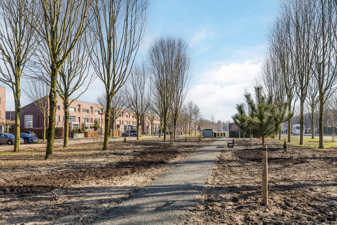 Photo 37 of Langstraat 47