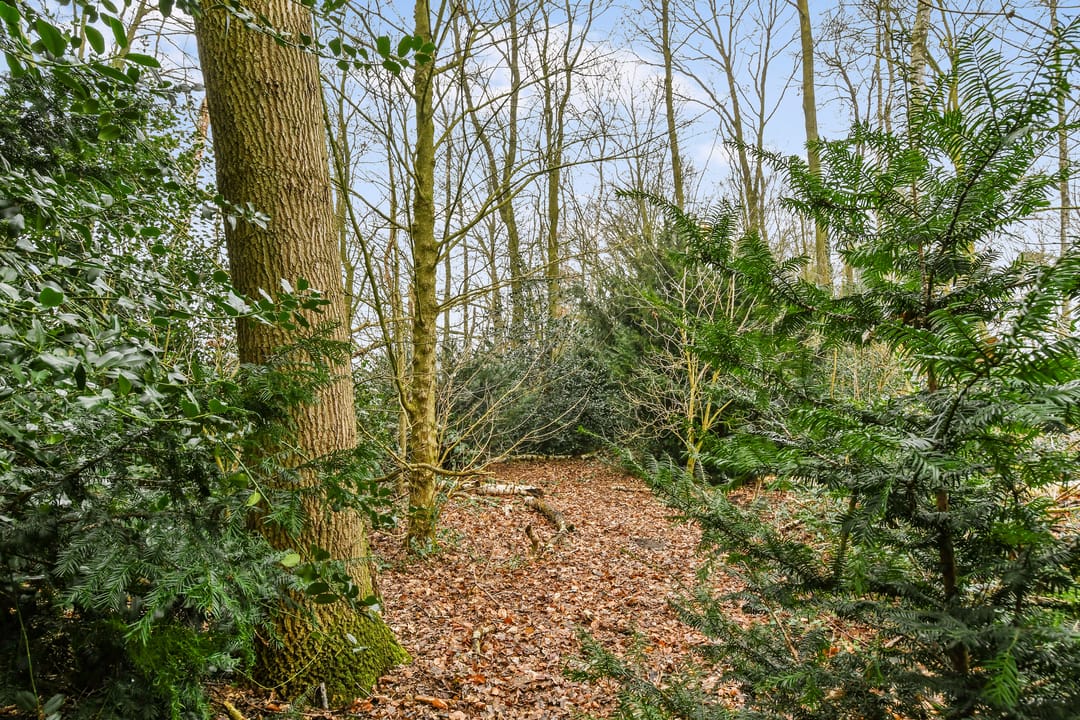 Foto 37 van De Brentjes 73