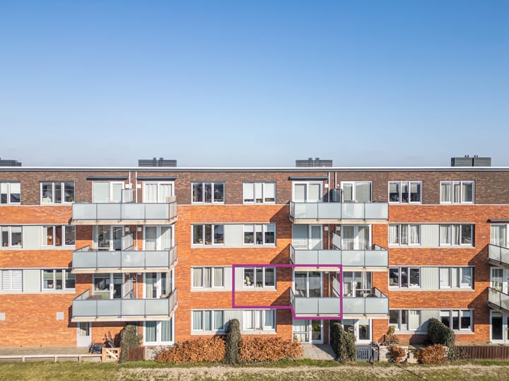 Foto 1 van Buxushaag 20