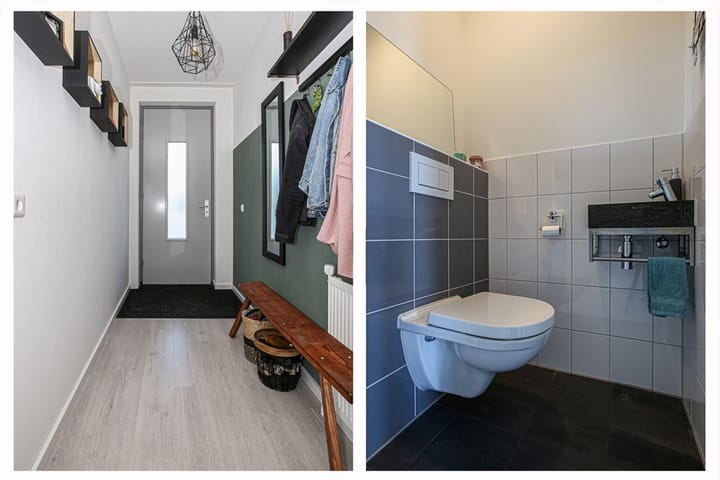 Foto 9 van Buxushaag 20