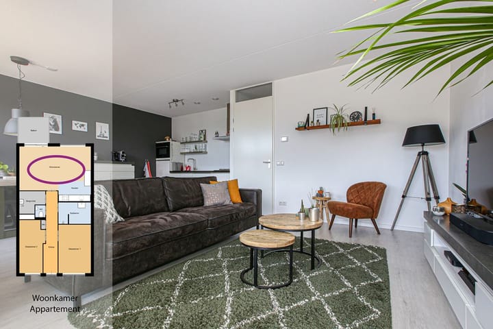 Foto 10 van Buxushaag 20