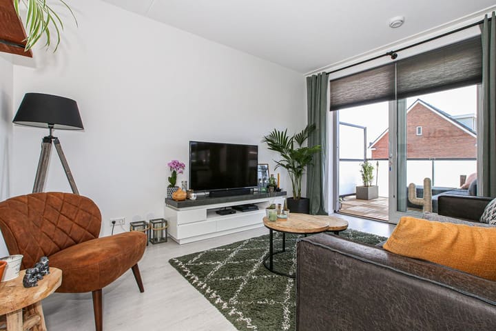 Foto 11 van Buxushaag 20