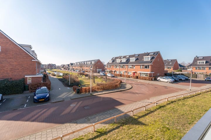 Foto 14 van Buxushaag 20