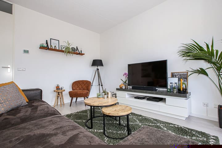 Foto 15 van Buxushaag 20