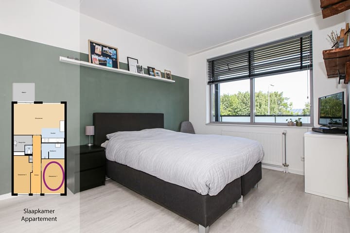 Foto 21 van Buxushaag 20