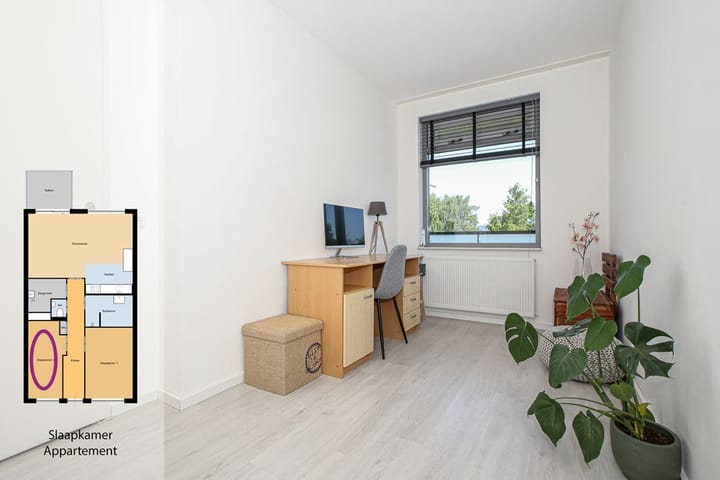 Foto 23 van Buxushaag 20