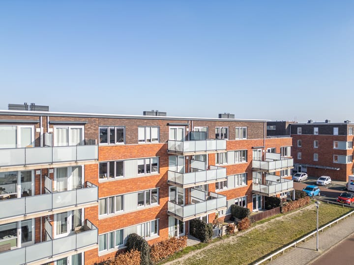 Foto 27 van Buxushaag 20