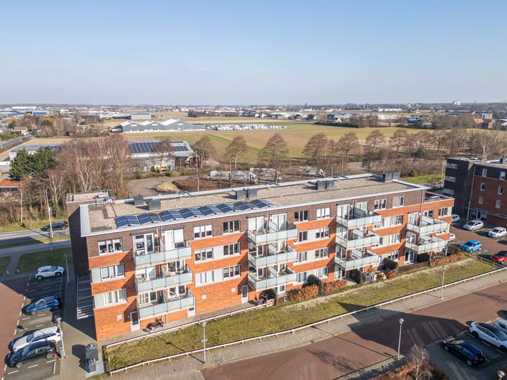 Foto 28 van Buxushaag 20