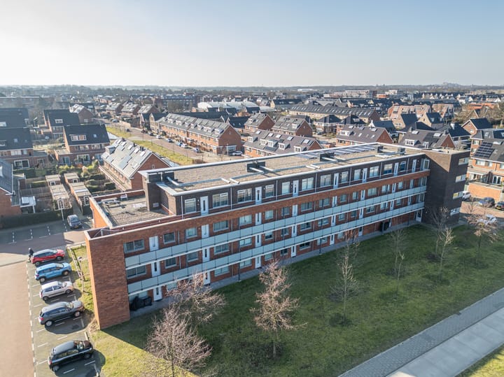 Foto 30 van Buxushaag 20