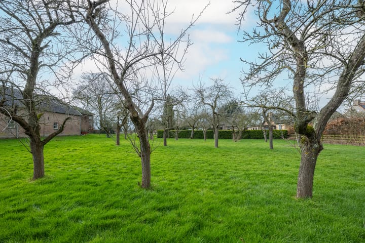 Foto 31 van Rozenstraat 8