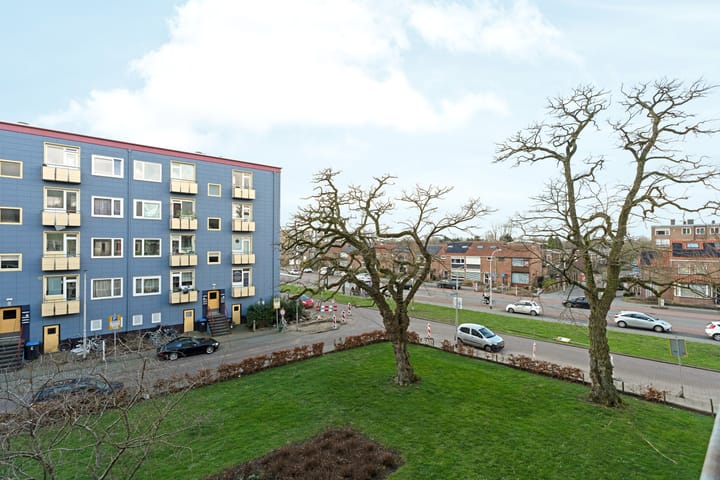 Foto 39 van Rozemarijnstraat 79