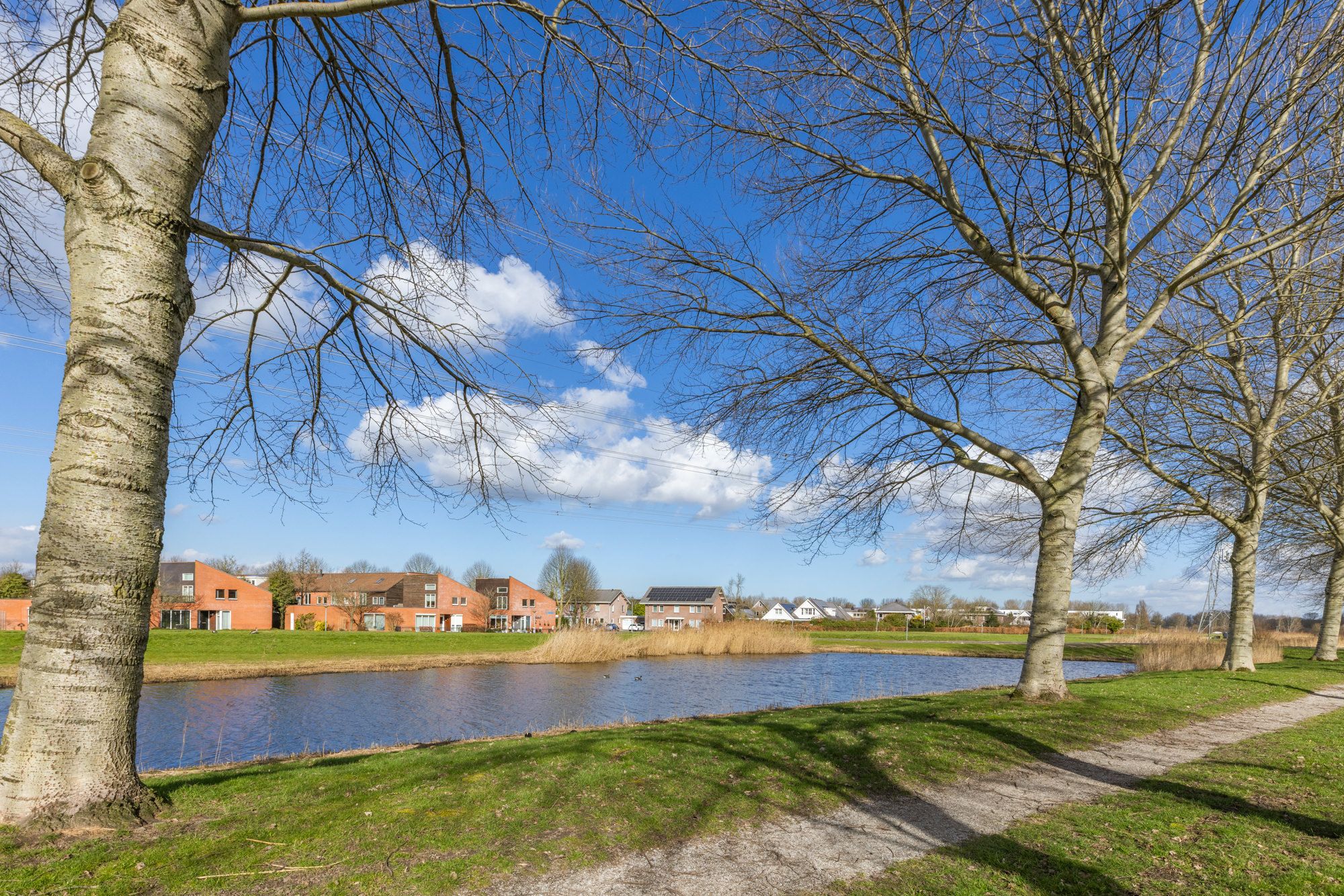 Foto 42 van Zadkinestraat 78