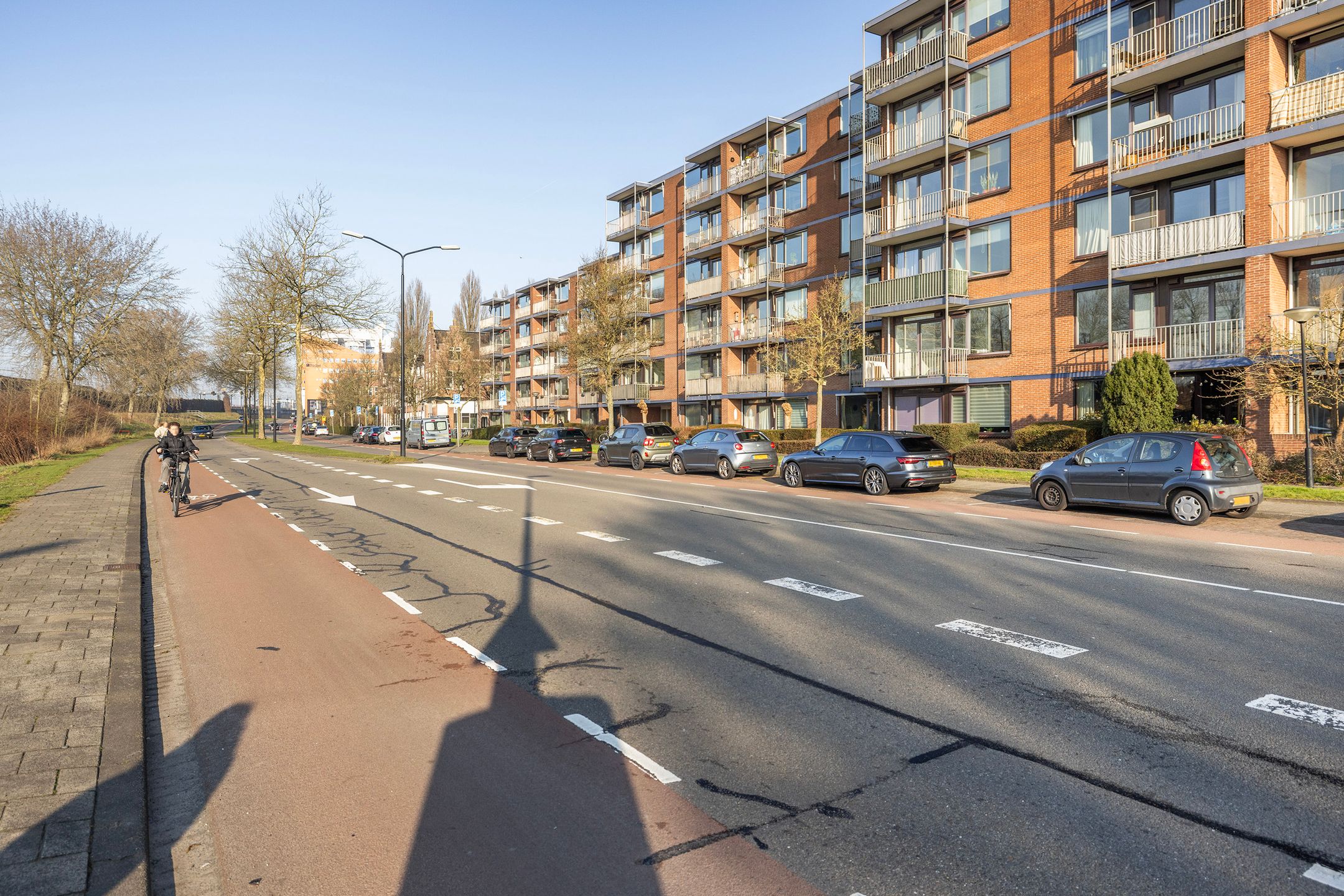 Foto 18 van Burgemeester de Raadtsingel 291